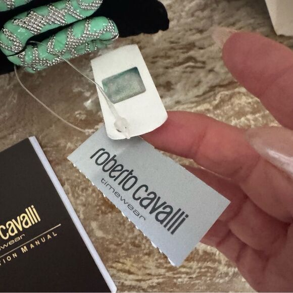 NEW Roberto Cavalli Mint Green Cleopatra Snake Enamel Silver Oval Dial Watch main image 6
